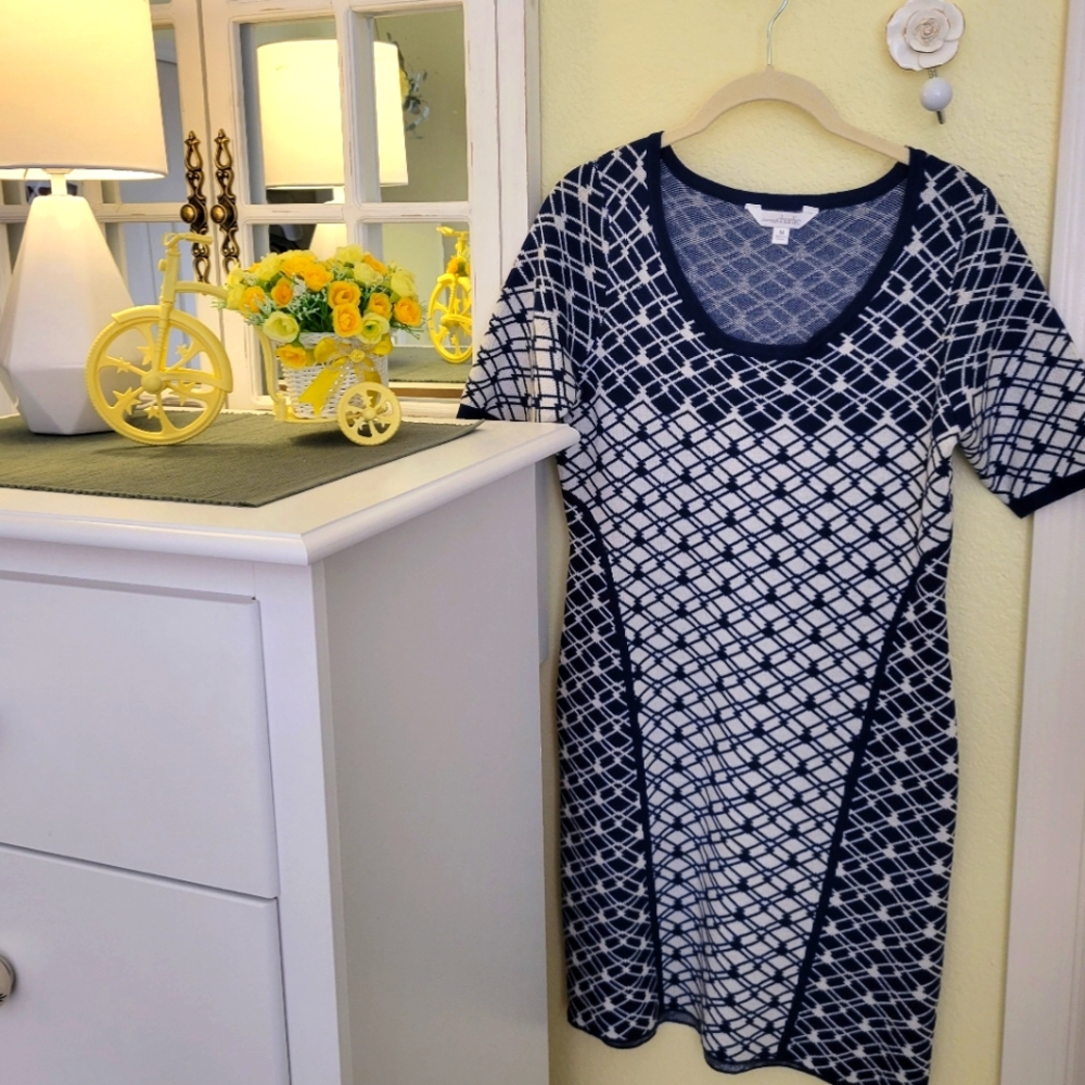 Charming Charlie Checkered Dress